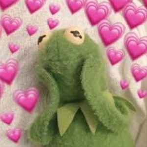 Meet your Posher, Celines